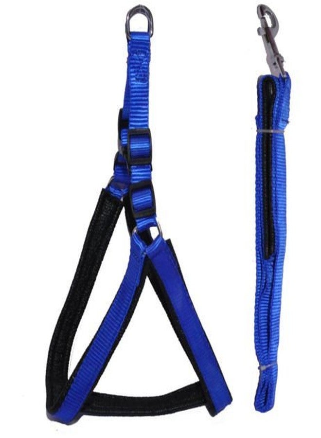 Skora Dog Nylon Harness & Leash Set Blue with Padding for Small Dog 0.75 Inch - Image 1